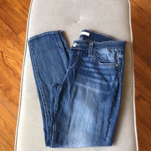 Daytrip Lynx Ankle Skinny Jean